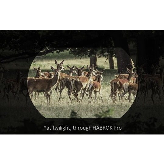 HIKMICRO BINOCLU VEDERE TERMICA HABROK PRO HQ50LN 1920X1080 - imagine 11