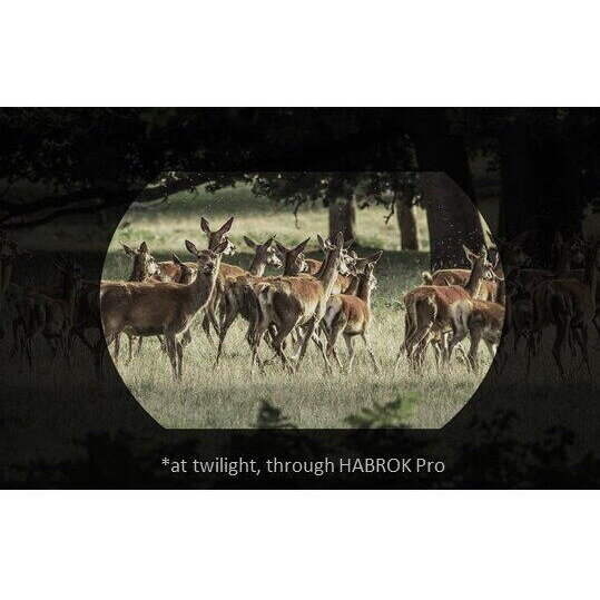 HIKMICRO BINOCLU VEDERE TERMICA HABROK PRO HX60LS 1920X1080 - imagine 6